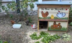 Vive la vie à la ferme…St Charles